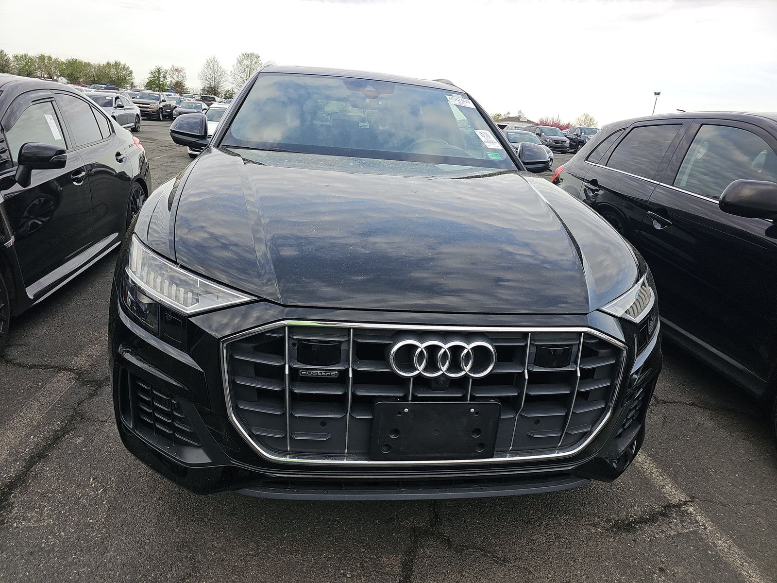 2019 Audi Q8 Prestige AWD
