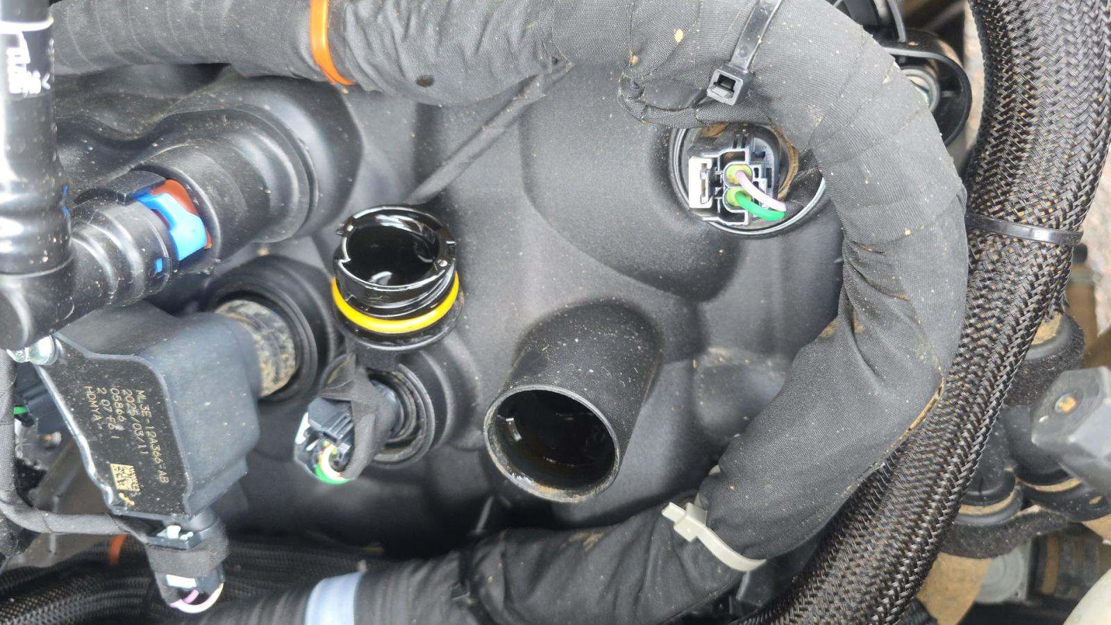 2025 Ford F-150 XLT AWD