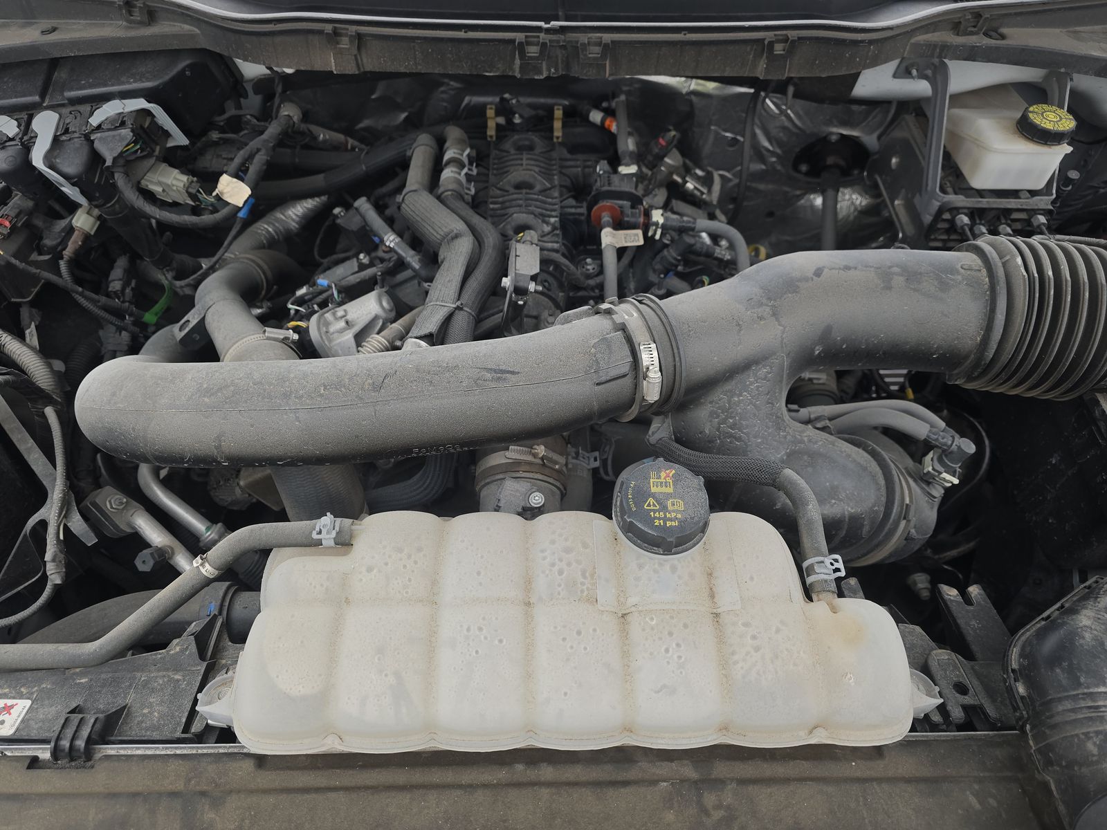 2024 Ford F-150 XLT AWD