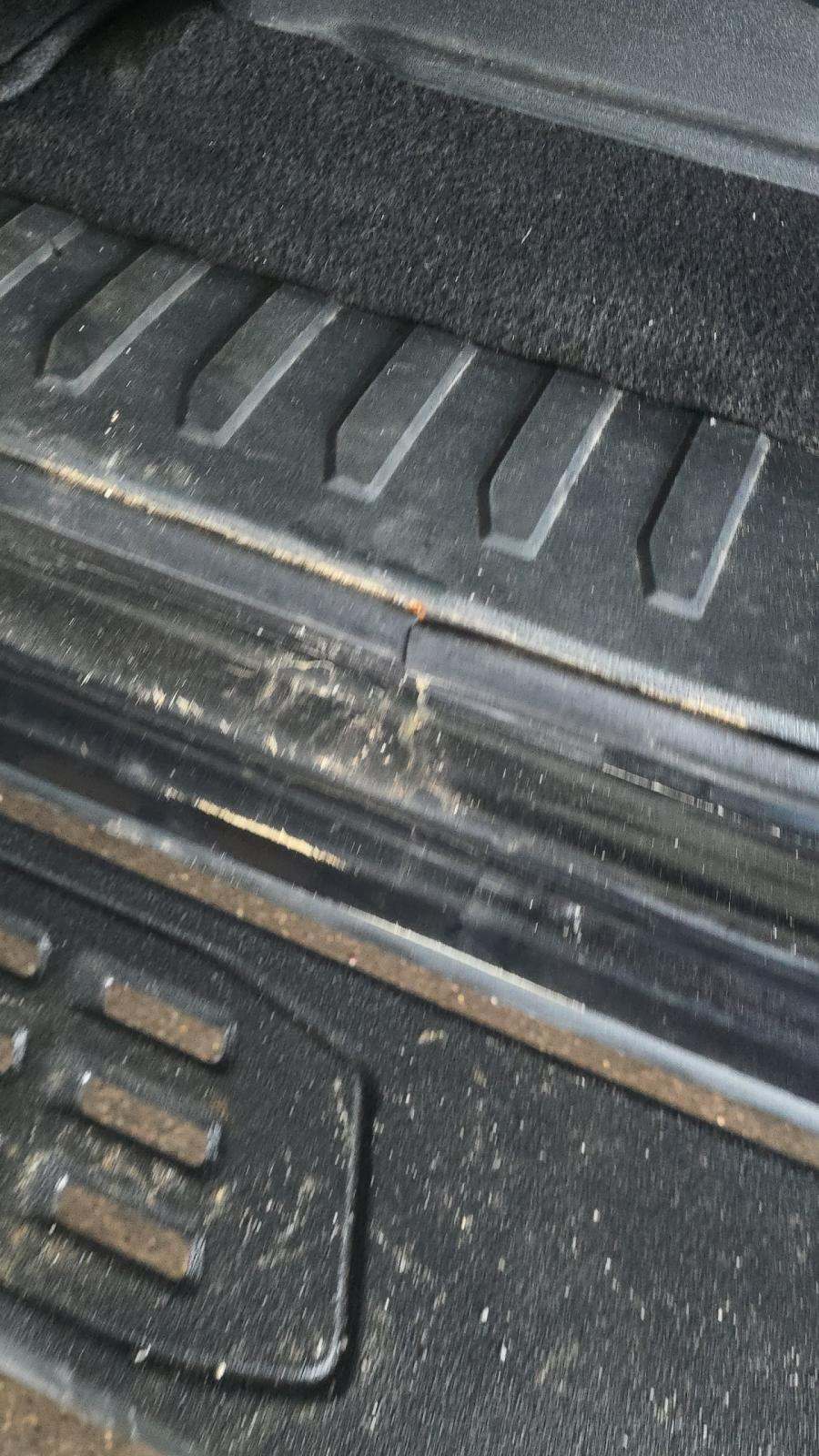 2025 Ford F-150 Tremor AWD