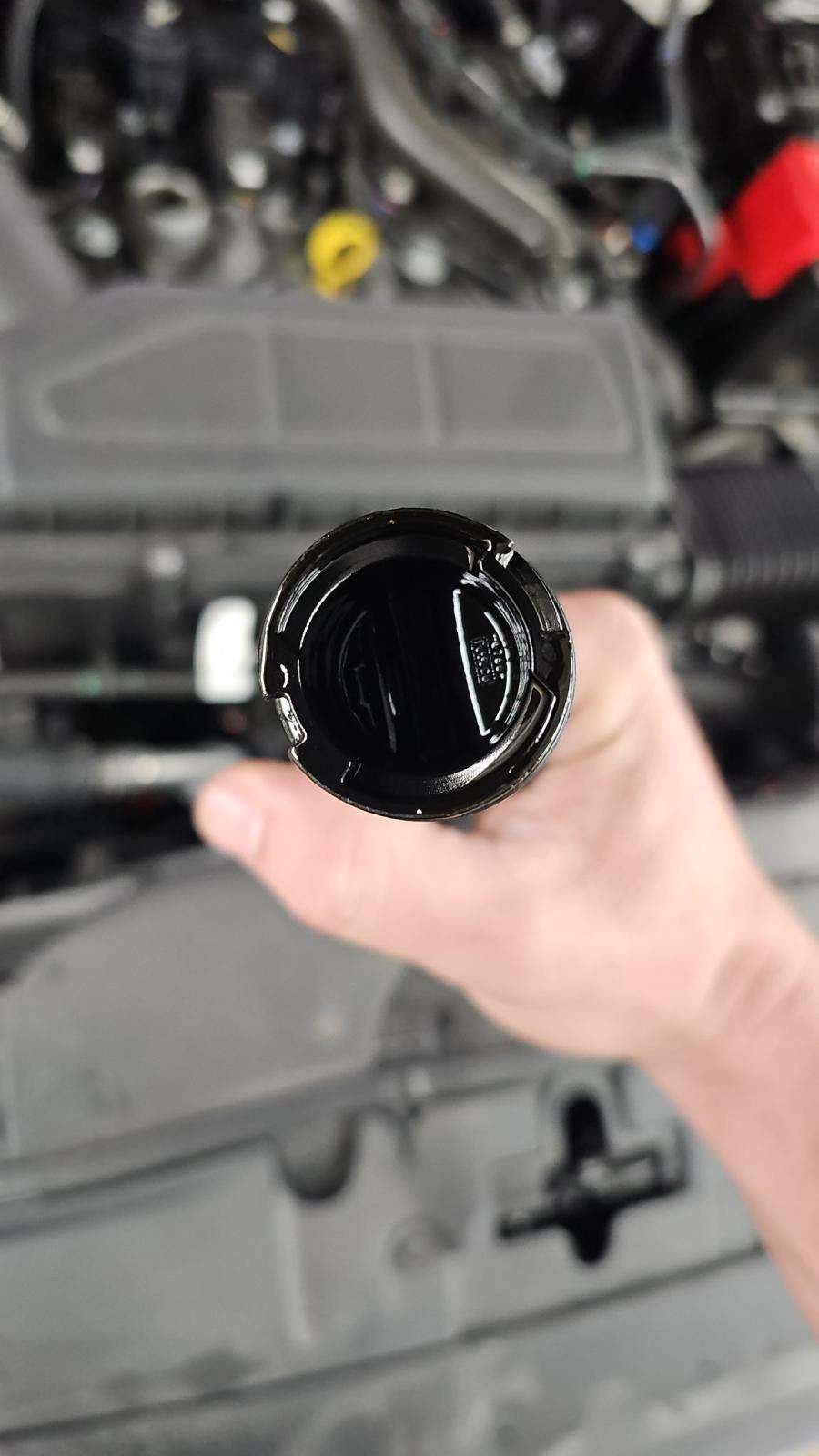 2024 Ford Escape ST-Line AWD