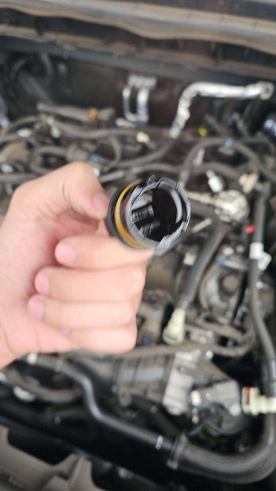 2022 Ford Escape SEL FWD