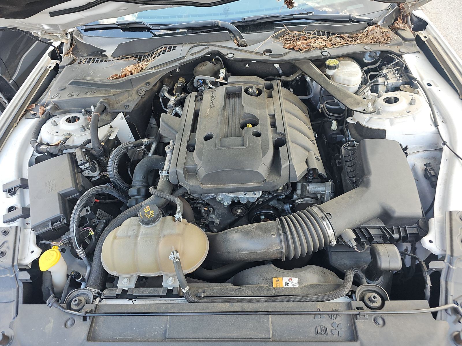 2018 Ford Mustang EcoBoost Premium RWD