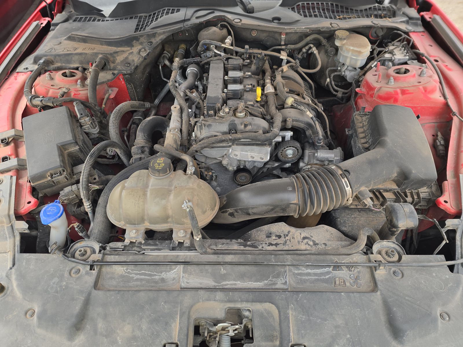 2023 Ford Mustang EcoBoost Premium RWD