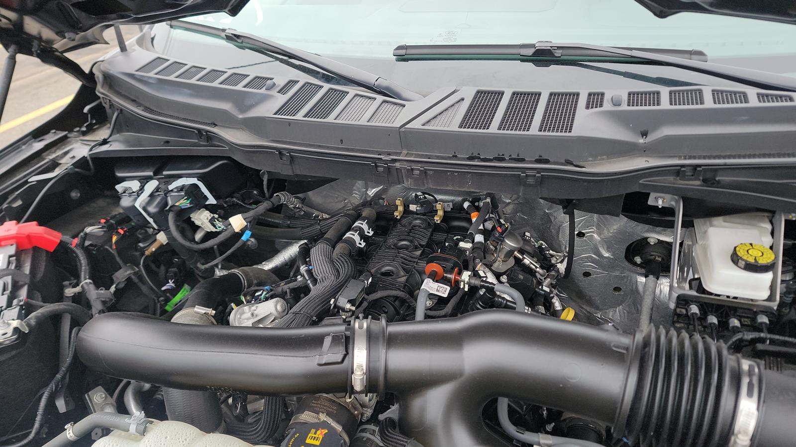 2025 Ford F-150 XLT AWD