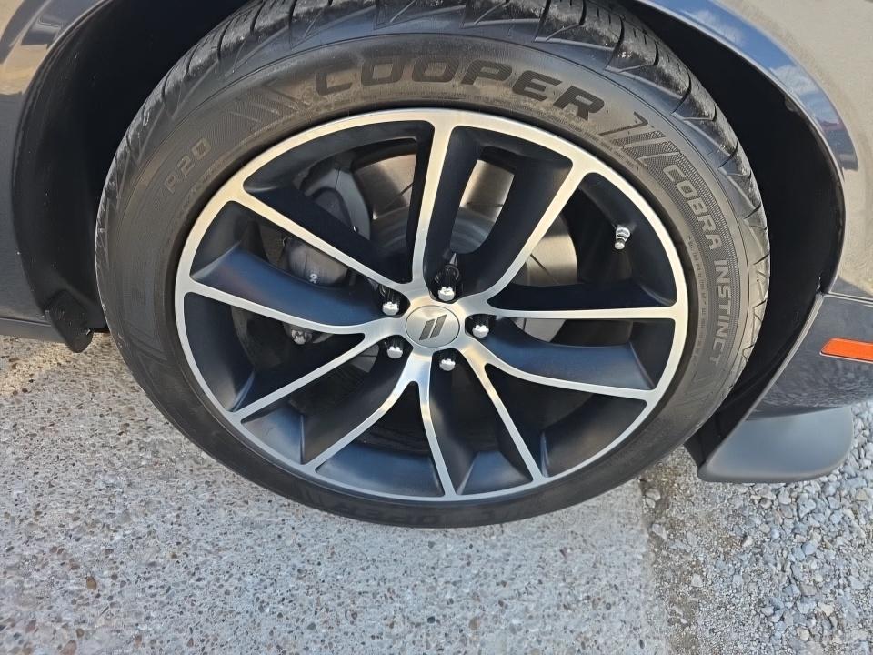 DODGE SCT P SHAK - 10