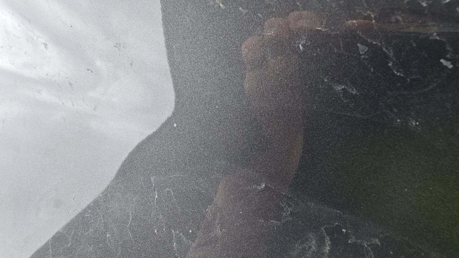 2025 Ford F-150 Raptor AWD