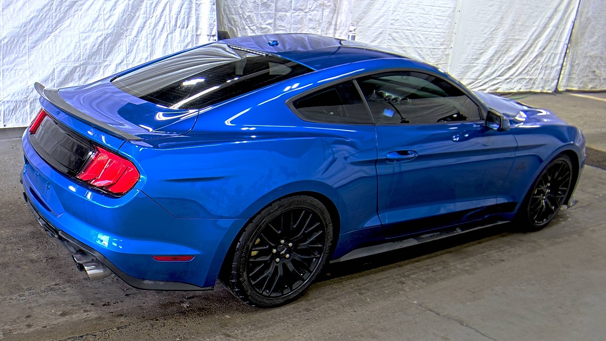 2019 Ford Mustang EcoBoost RWD