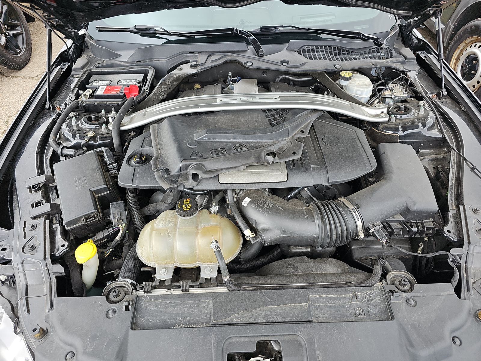 2019 Ford Mustang GT Premium RWD