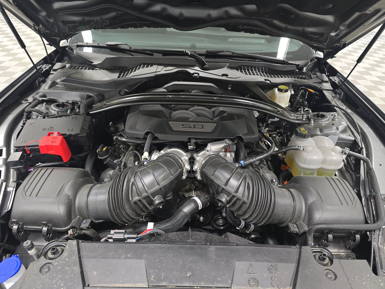 2025 Ford Mustang Dark Horse RWD