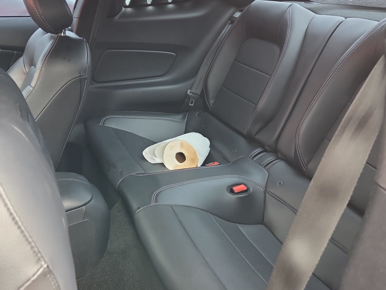 2018 Ford Mustang GT Premium RWD