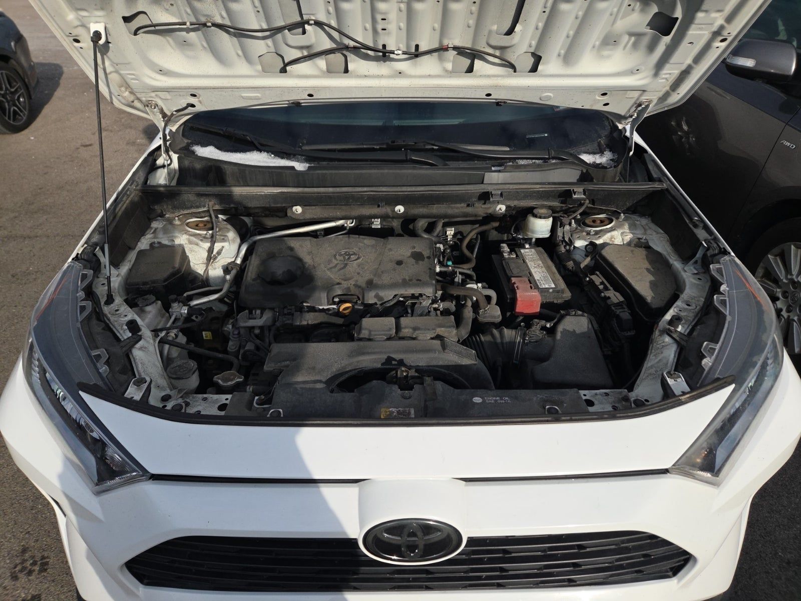 2019 Toyota RAV4 XLE AWD