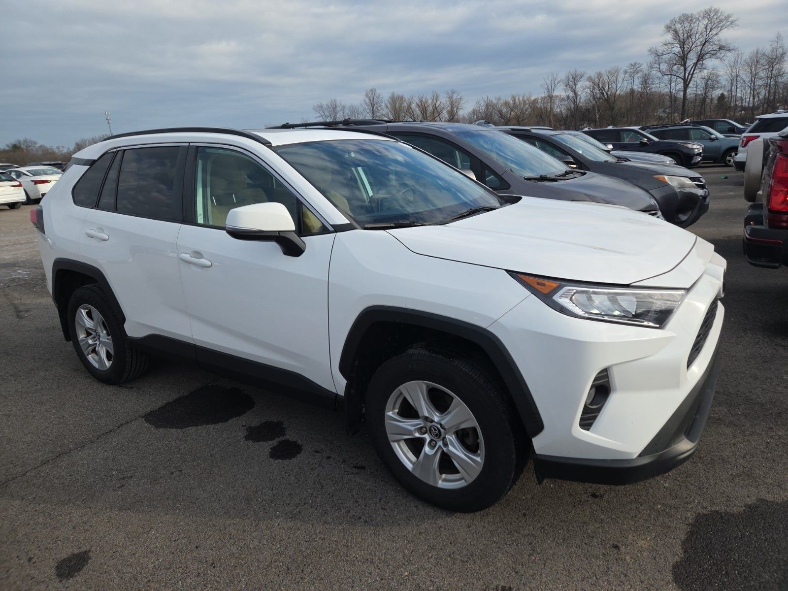 2019 Toyota RAV4 XLE AWD