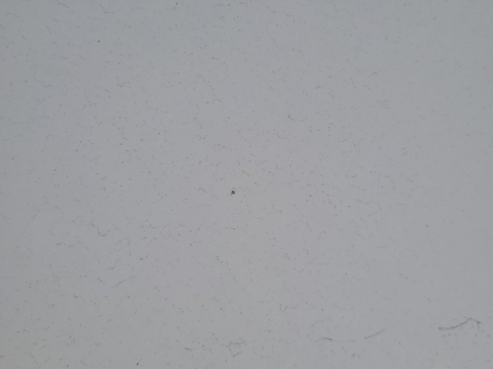 2017 Porsche Cayenne Platinum Edition AWD