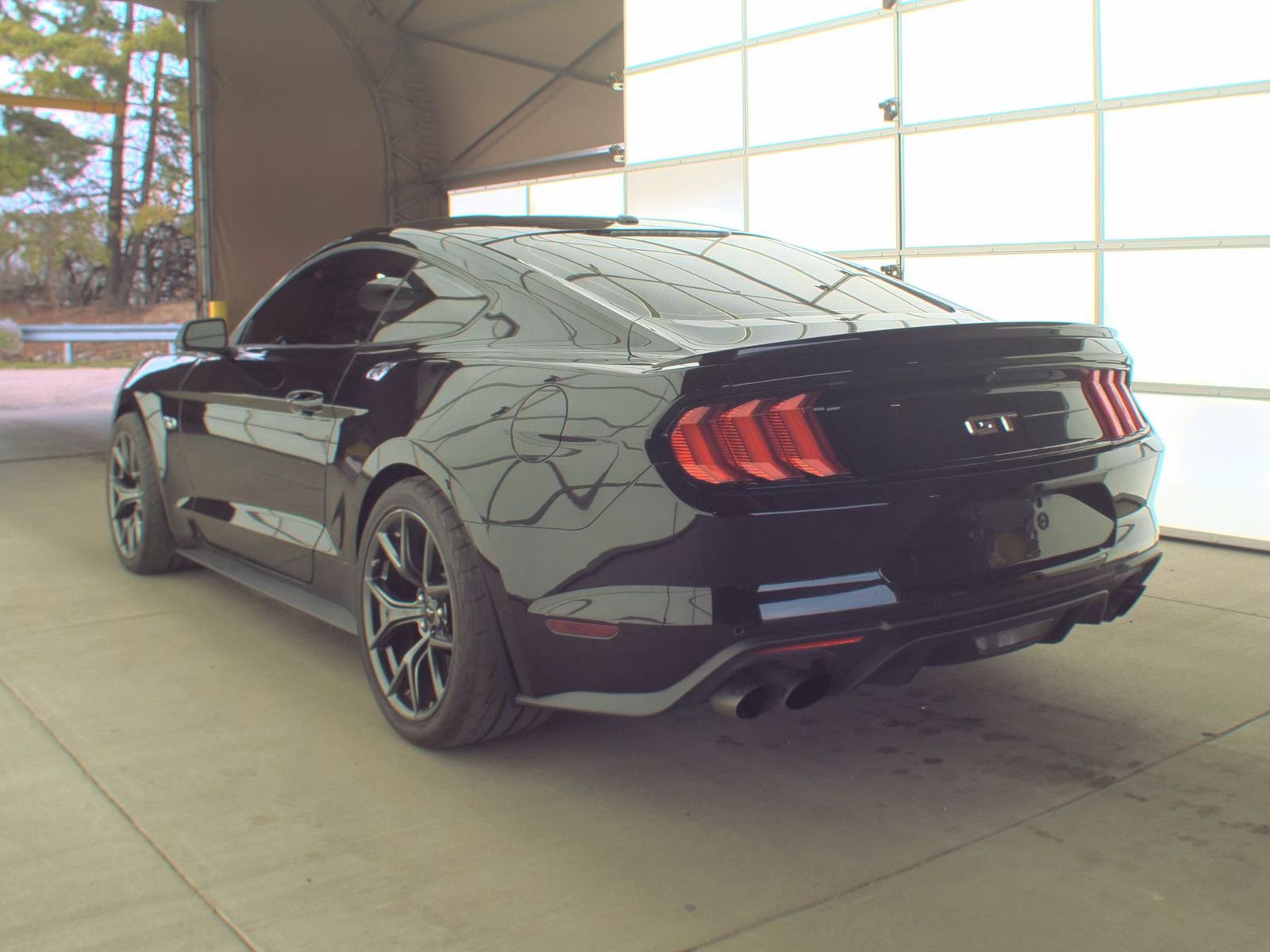 2019 Ford Mustang GT Premium RWD