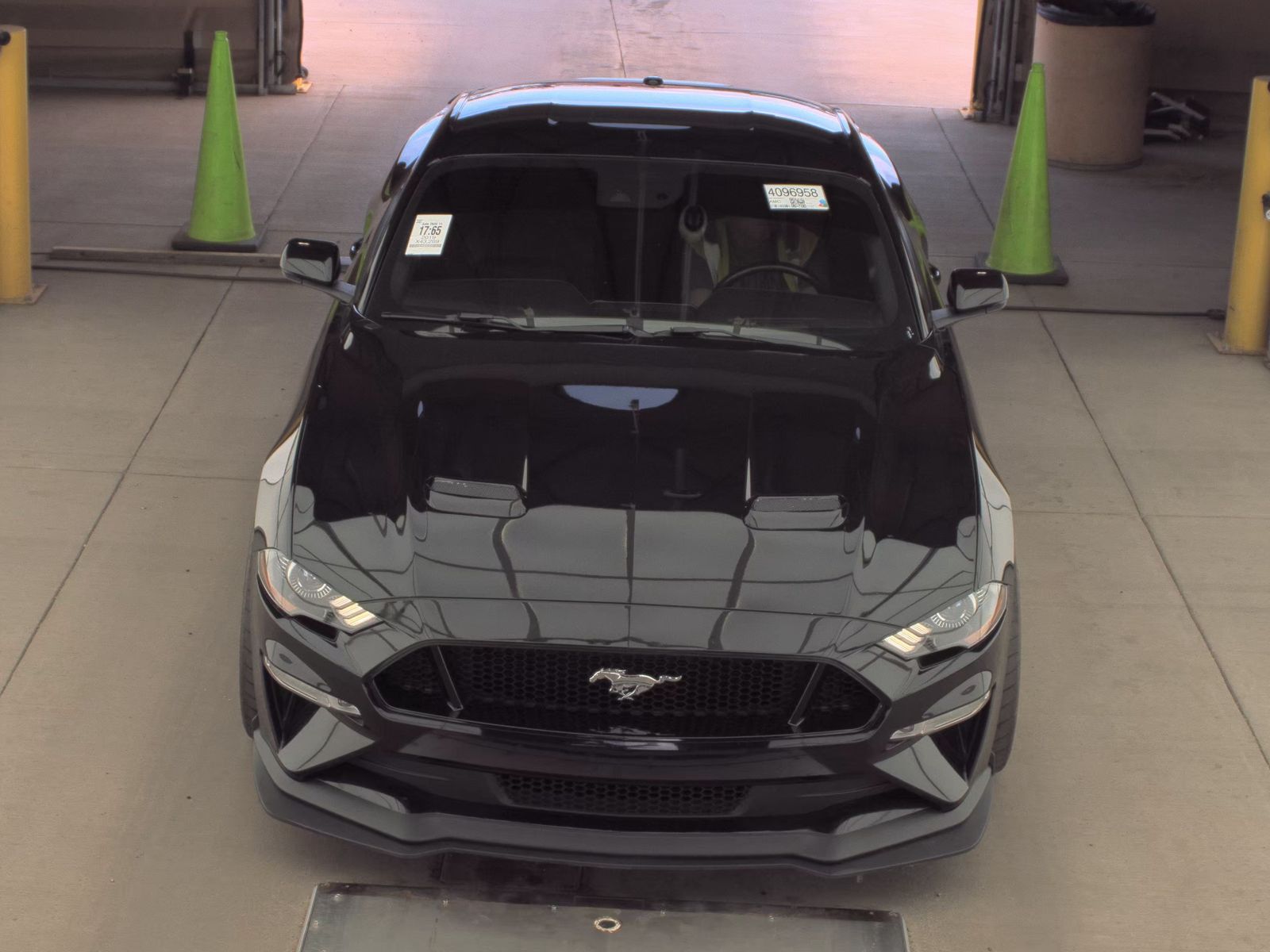 2019 Ford Mustang GT Premium RWD