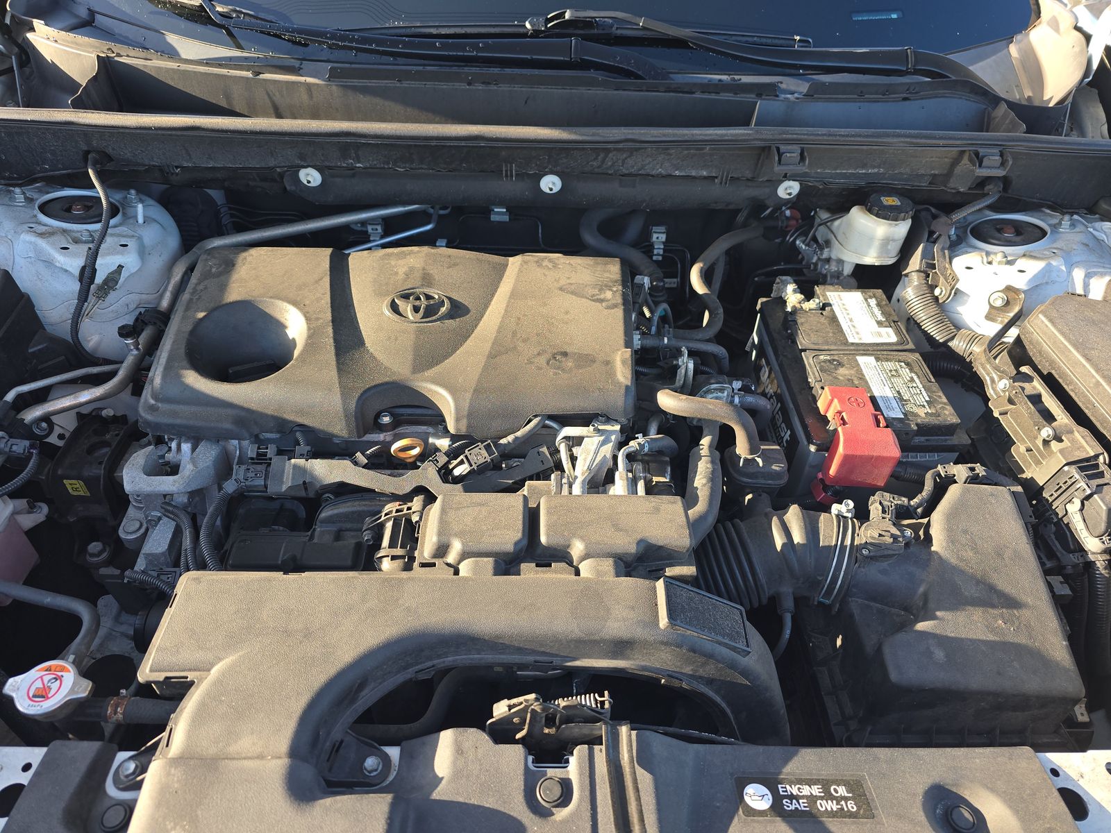 2019 Toyota RAV4 XLE AWD