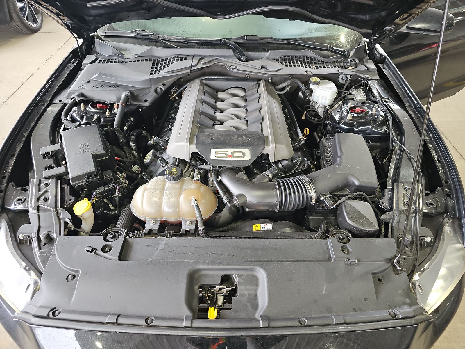 2017 Ford Mustang GT RWD