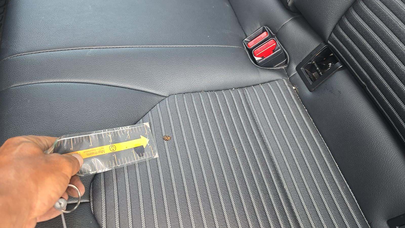 2019 Toyota Camry SE FWD