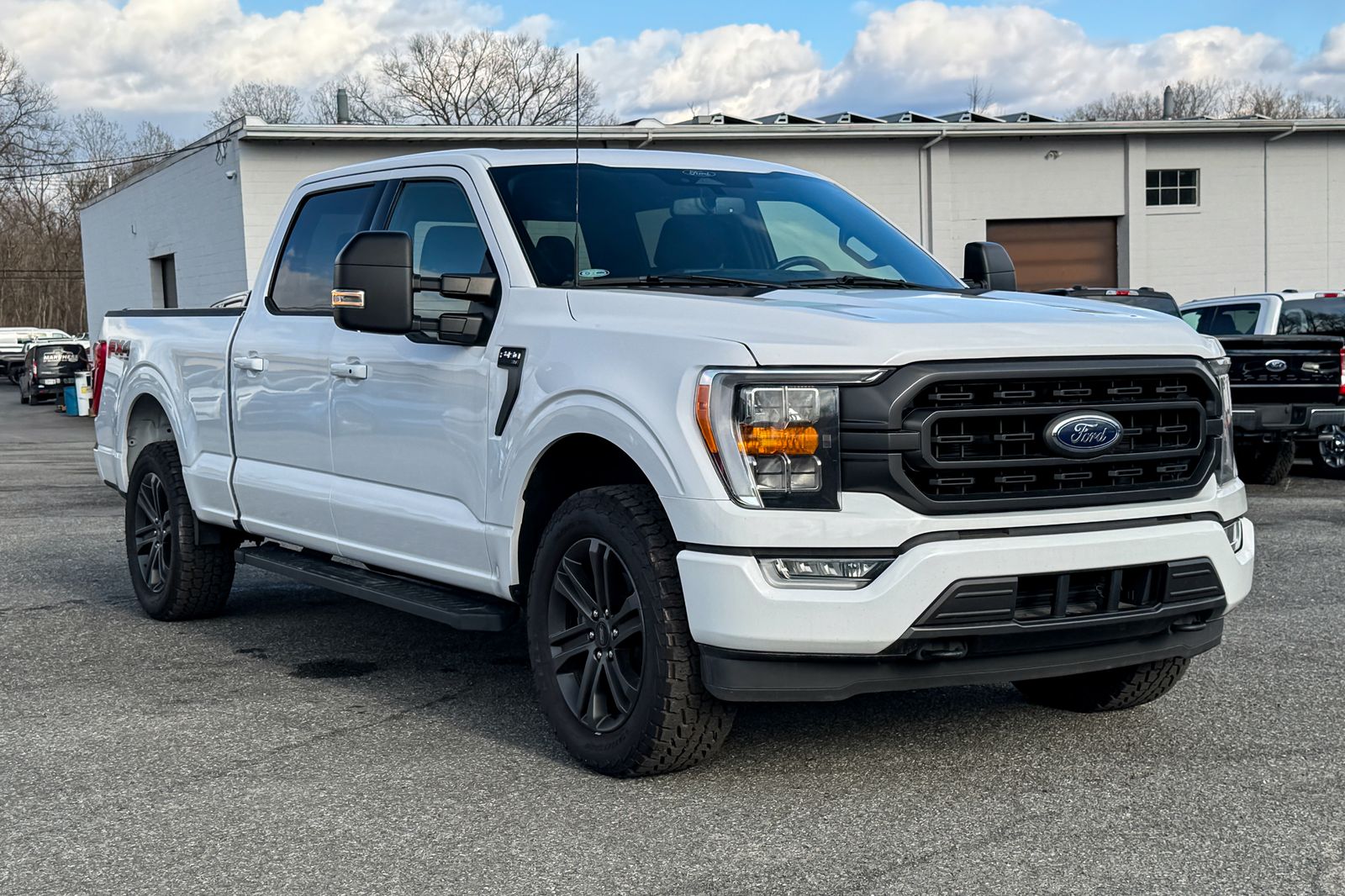 FORD F-150 - 1