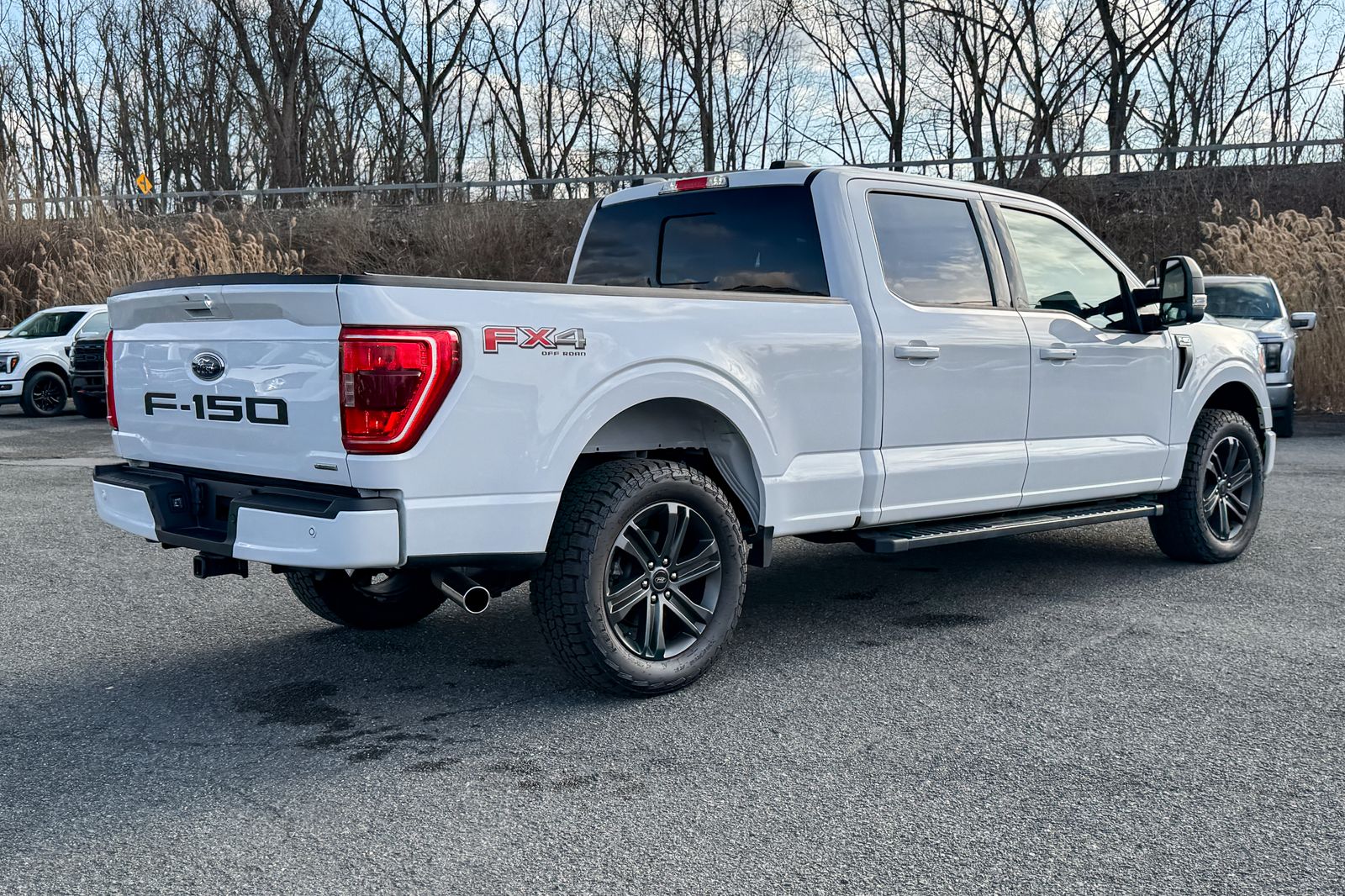 FORD F-150 - 4