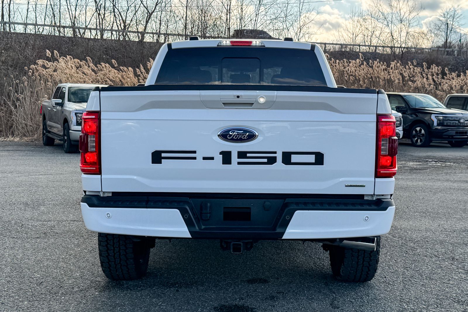 FORD F-150 - 5