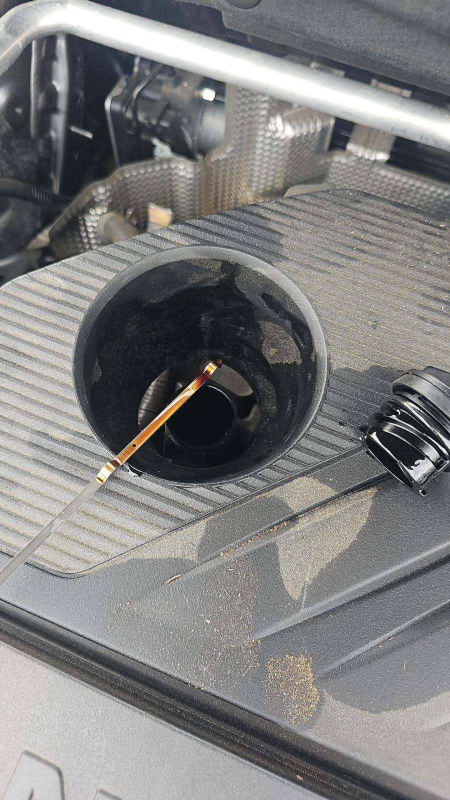 2023 Nissan Rogue SV AWD