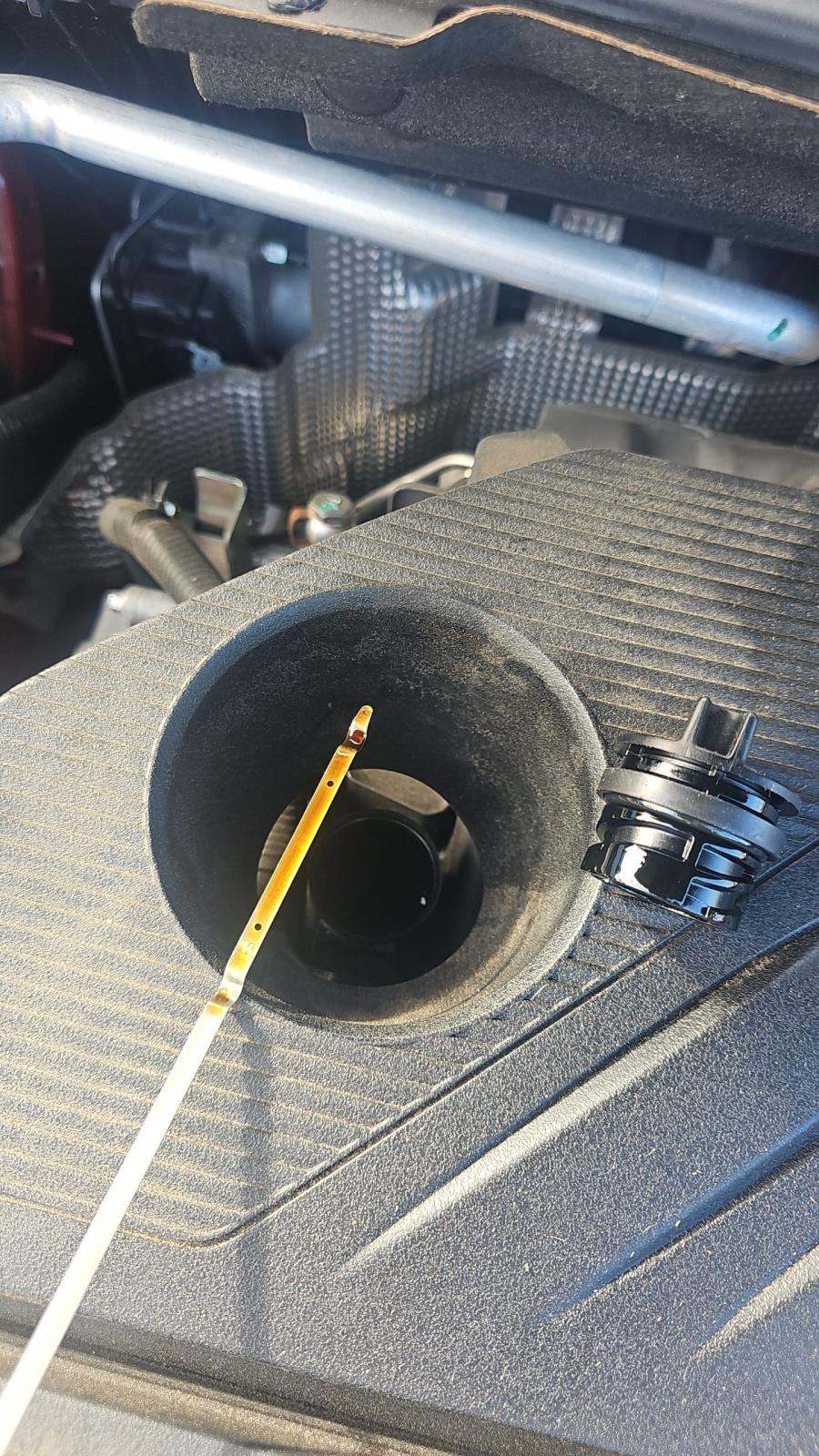 2023 Nissan Rogue SL AWD