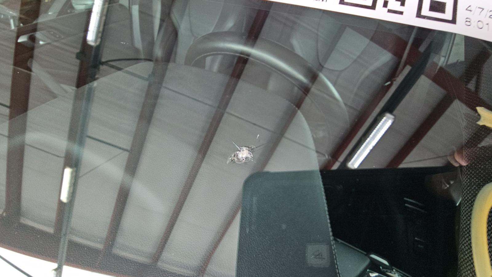 2020 BMW X5 sDrive40i RWD