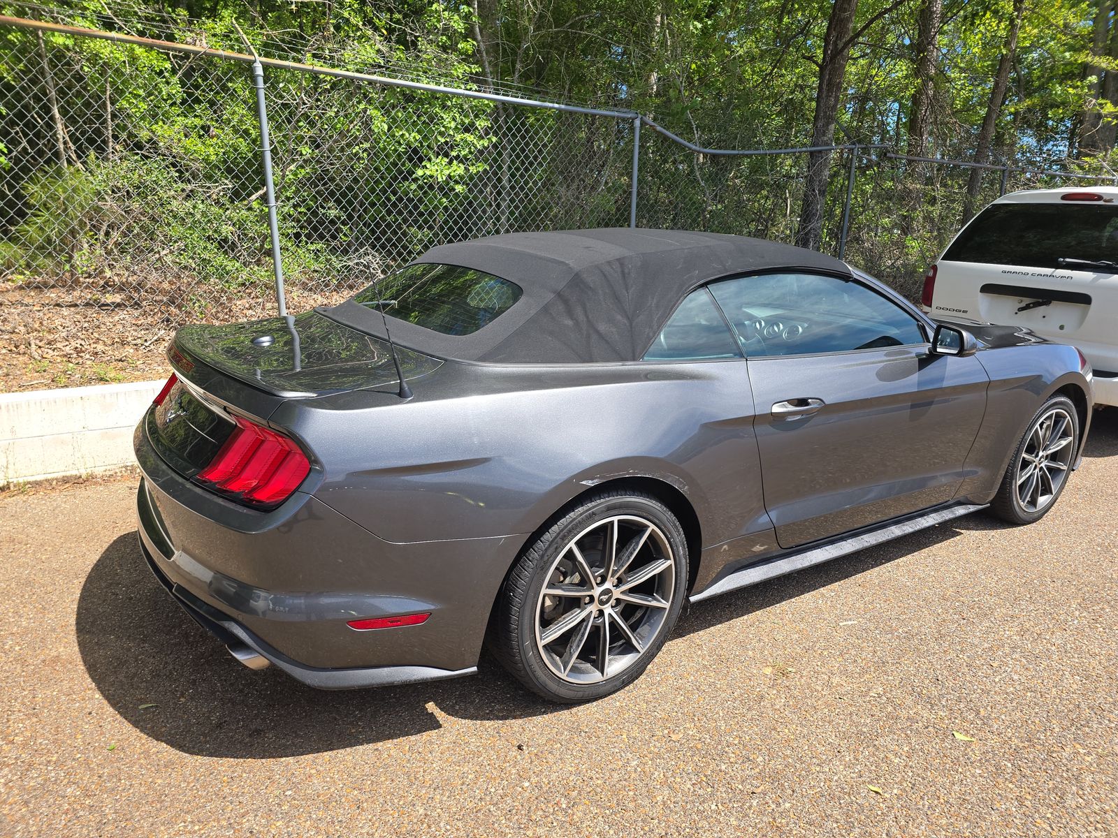 2019 Ford Mustang EcoBoost Premium RWD