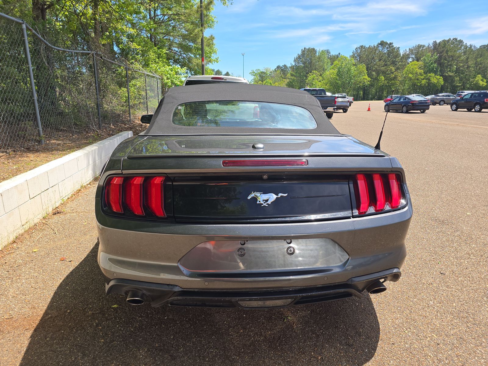 2019 Ford Mustang EcoBoost Premium RWD