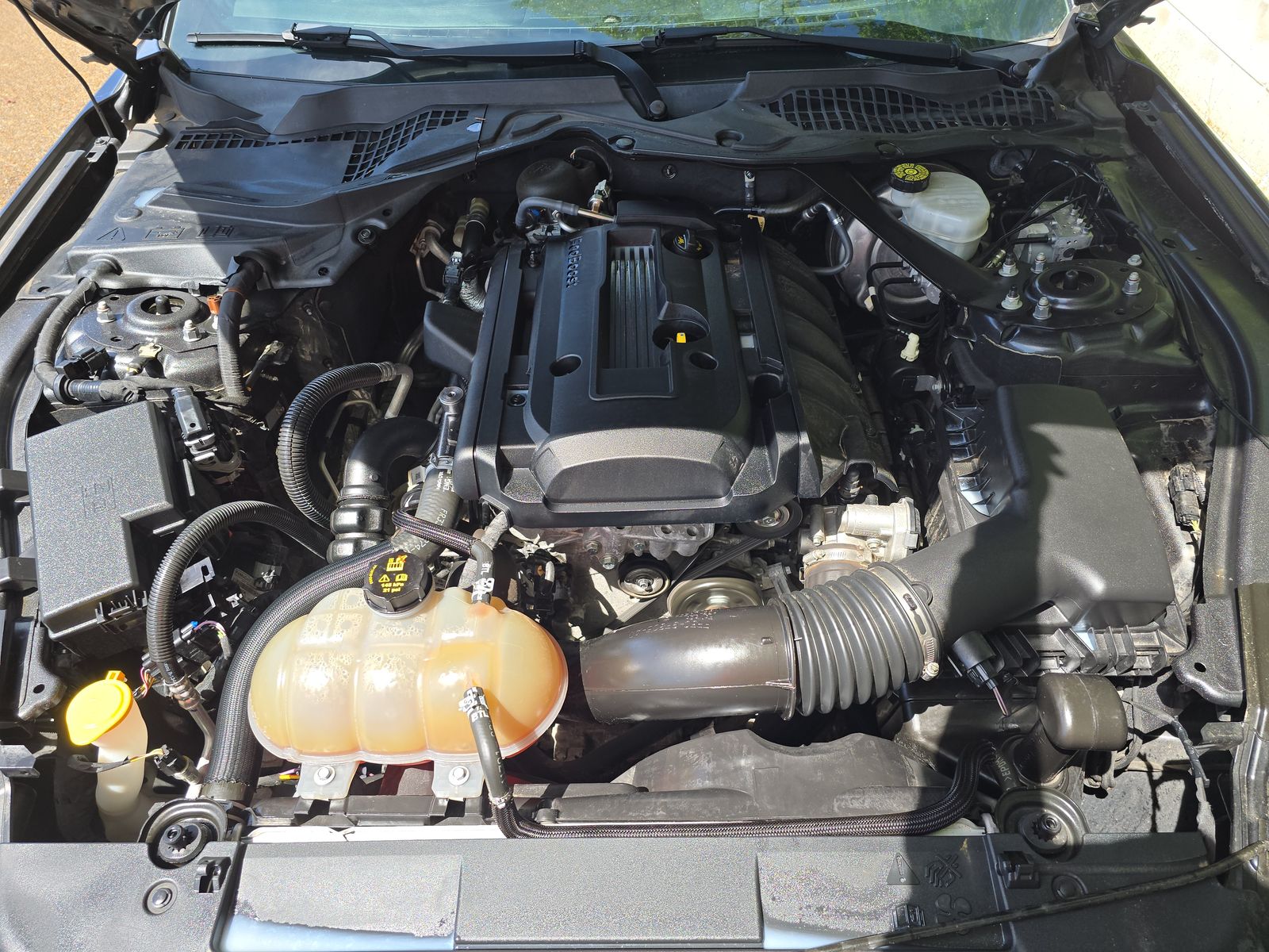 2019 Ford Mustang EcoBoost Premium RWD