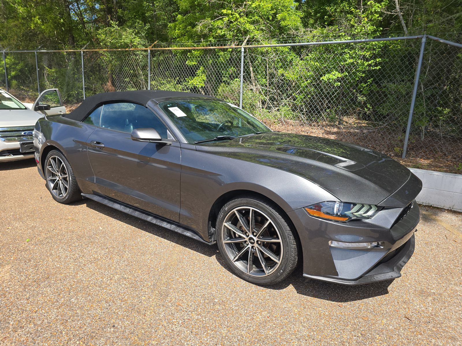 2019 Ford Mustang EcoBoost Premium RWD