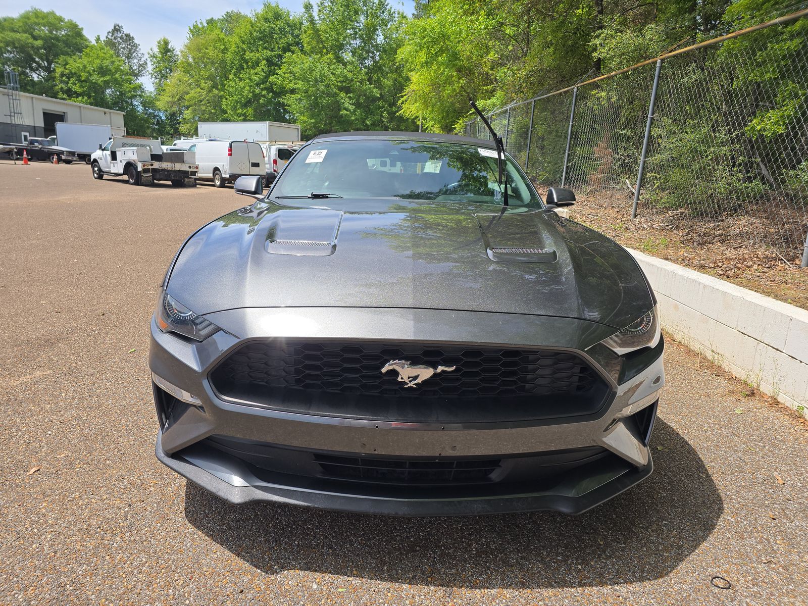 2019 Ford Mustang EcoBoost Premium RWD