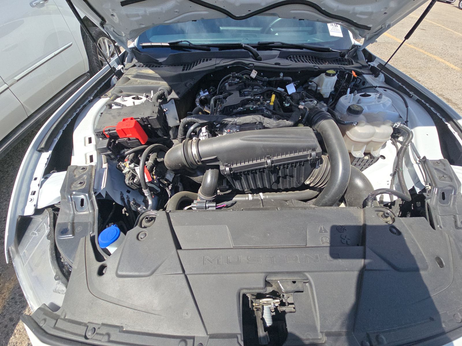 2025 Ford Mustang EcoBoost RWD