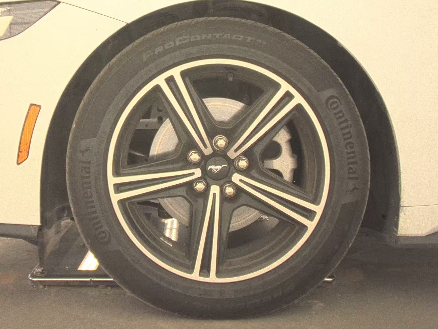 2025 Ford Mustang EcoBoost RWD