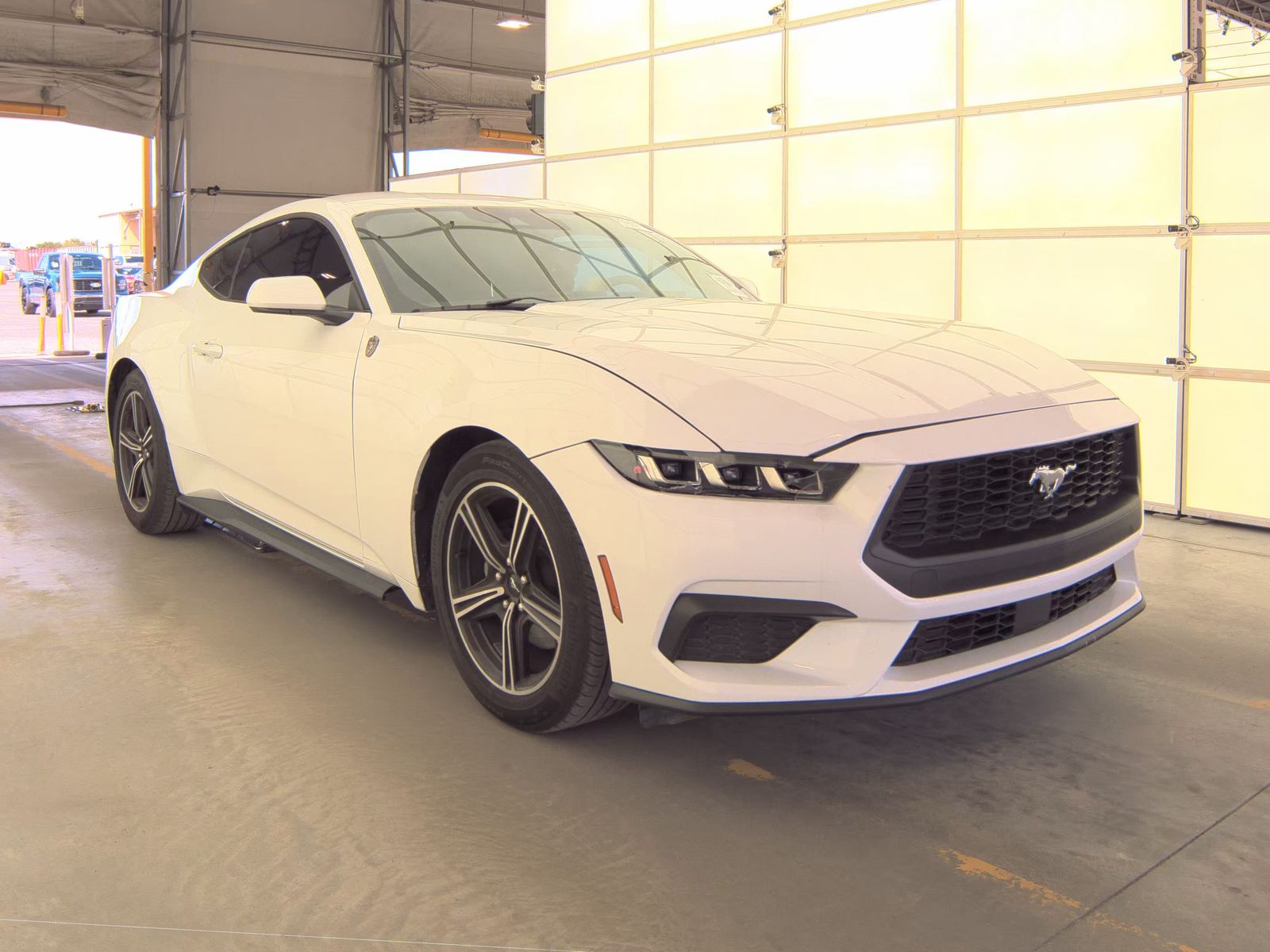 2025 Ford Mustang EcoBoost RWD