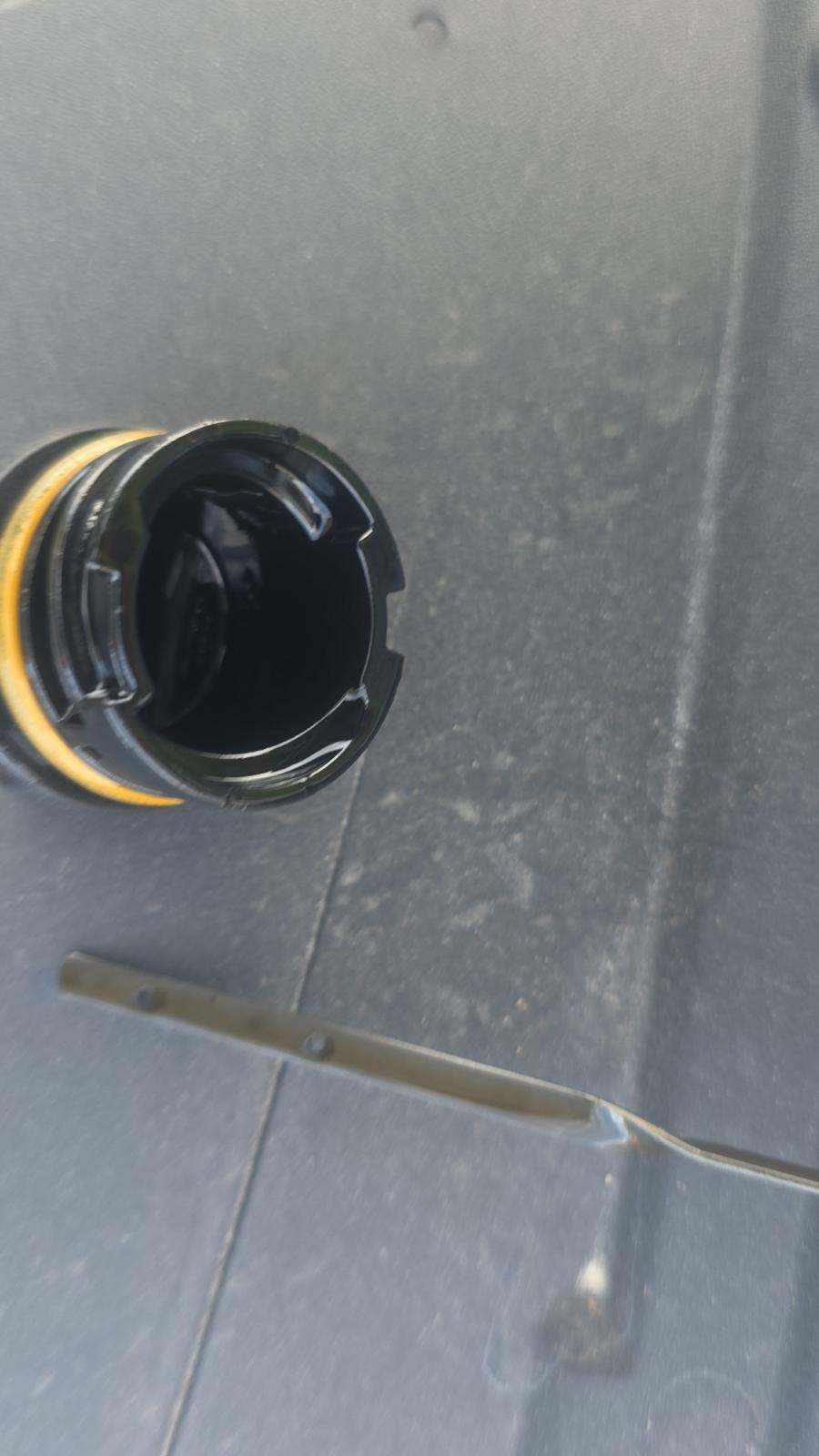 2025 Ford Mustang EcoBoost RWD