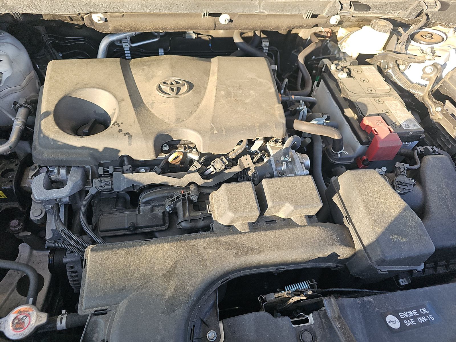 2024 Toyota RAV4 XLE AWD