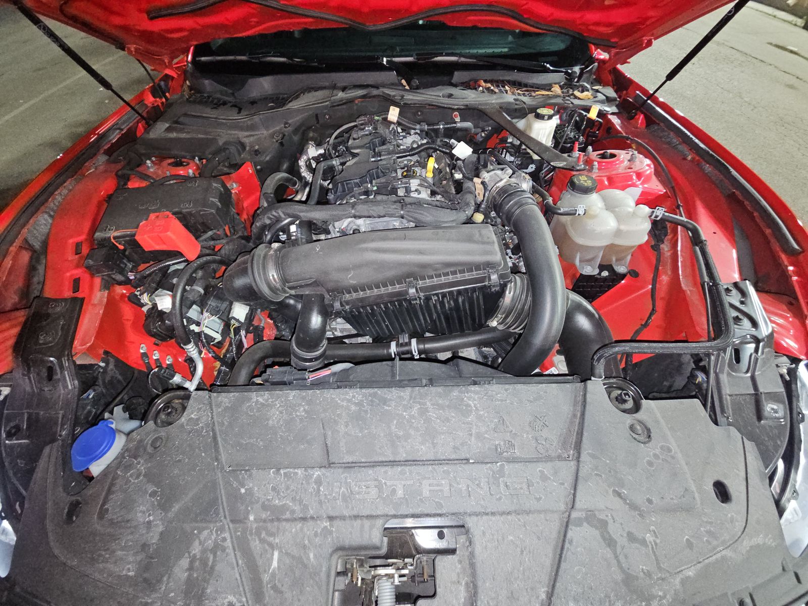 2024 Ford Mustang EcoBoost Premium RWD