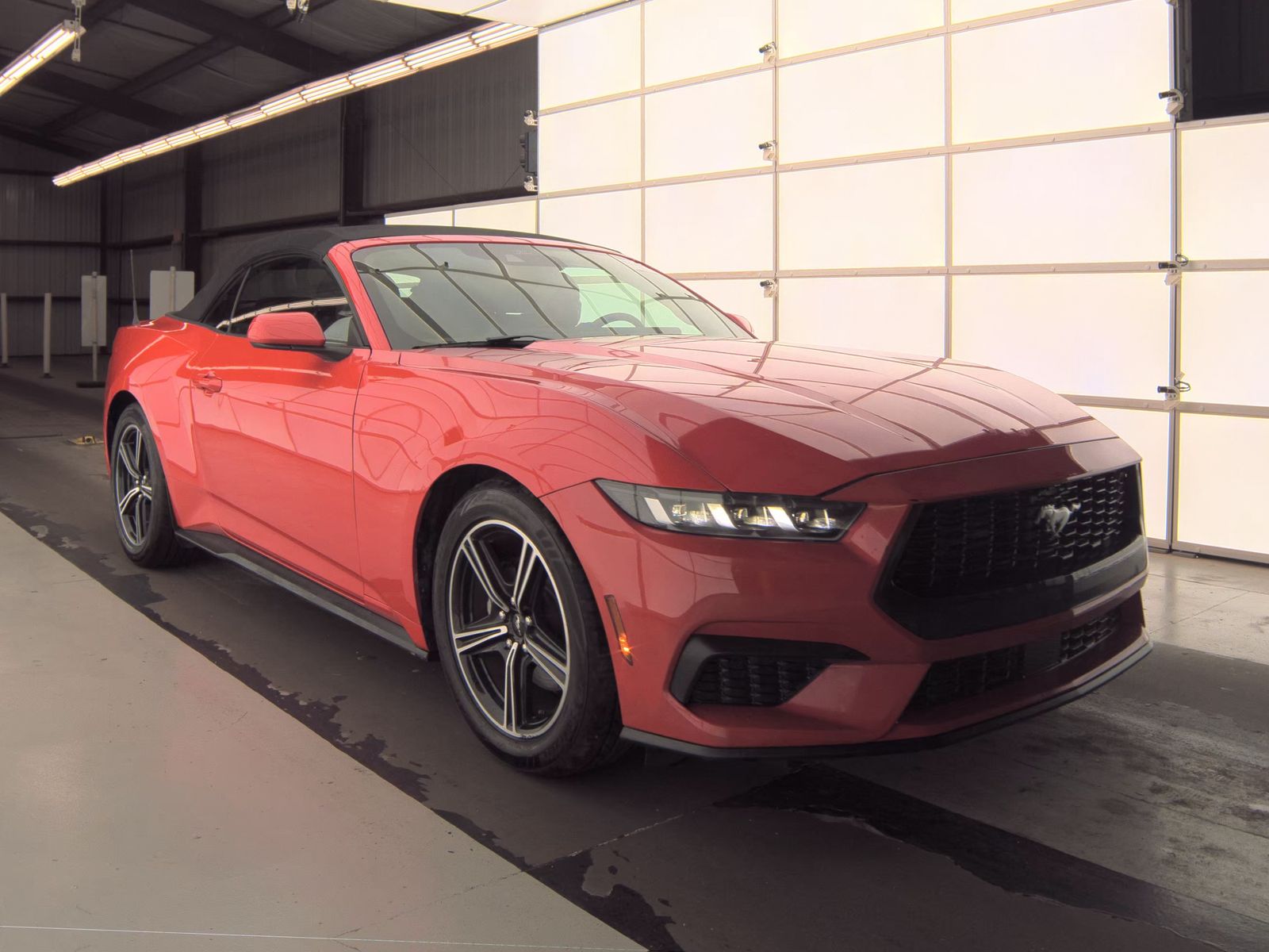 2024 Ford Mustang EcoBoost Premium RWD