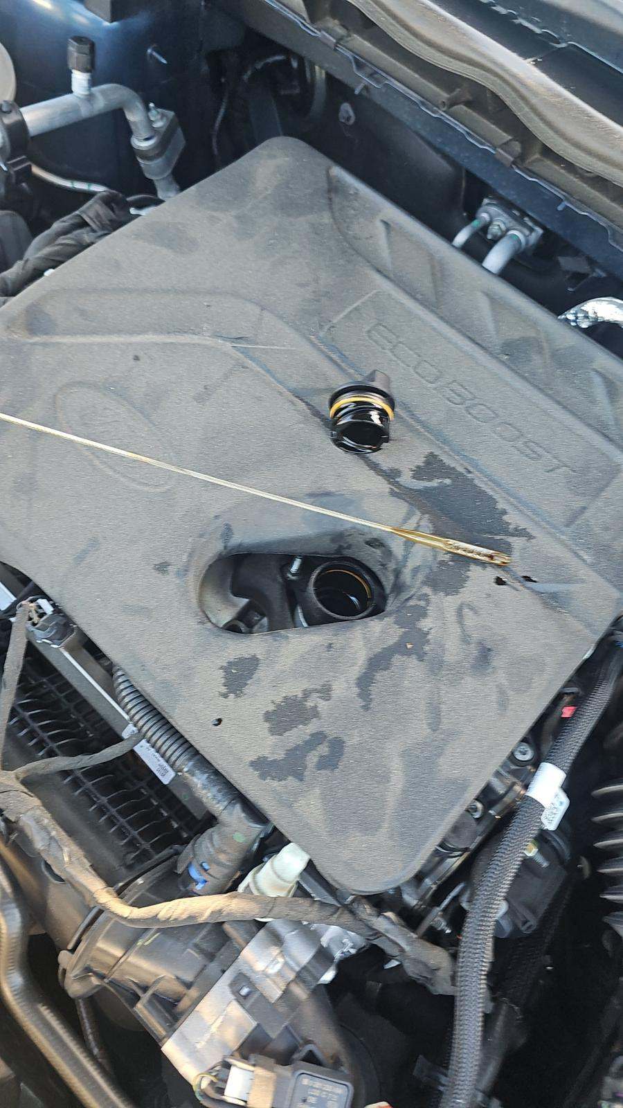 2020 Ford Escape SEL FWD