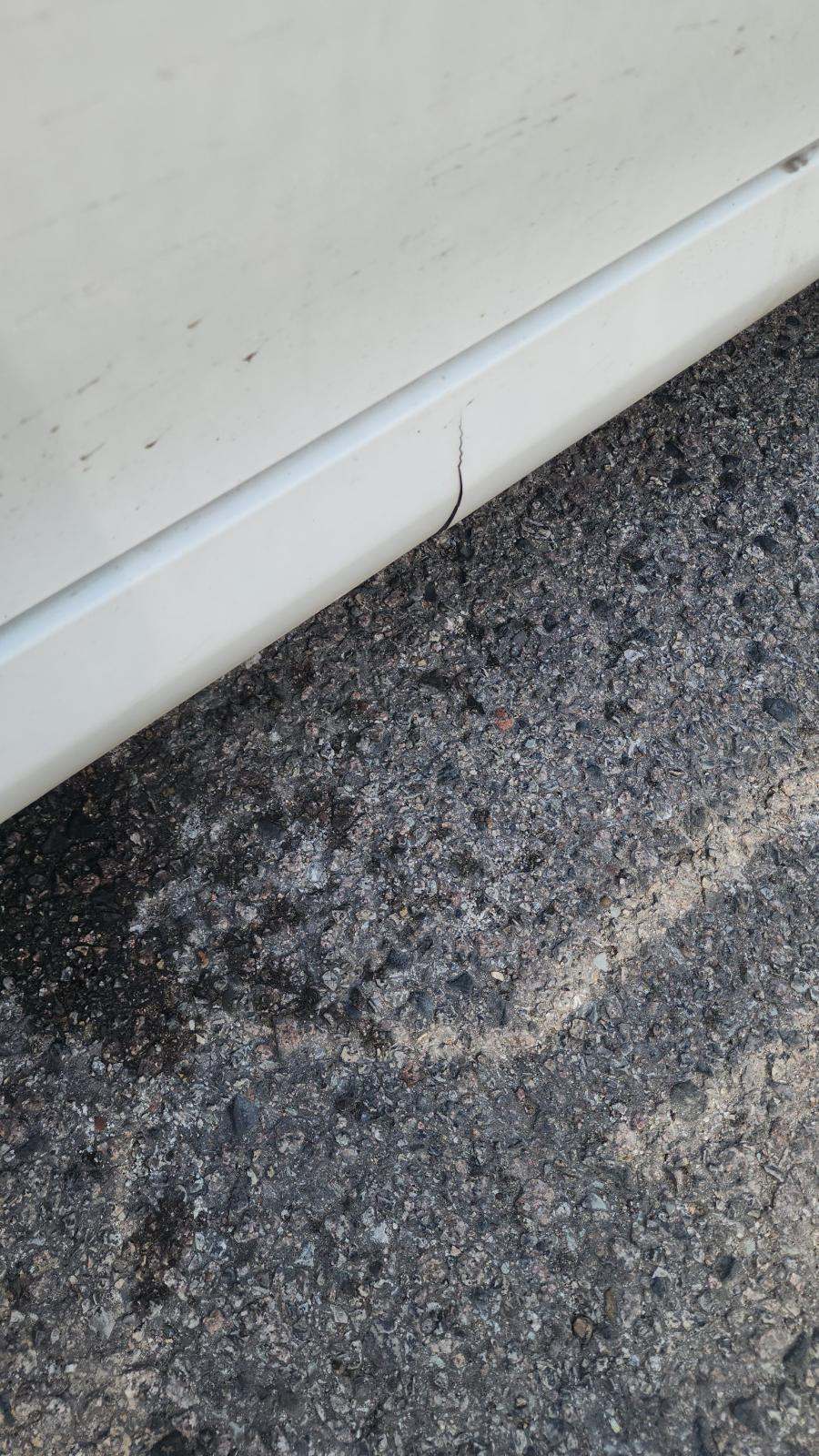 2021 Toyota Camry Hybrid LE FWD