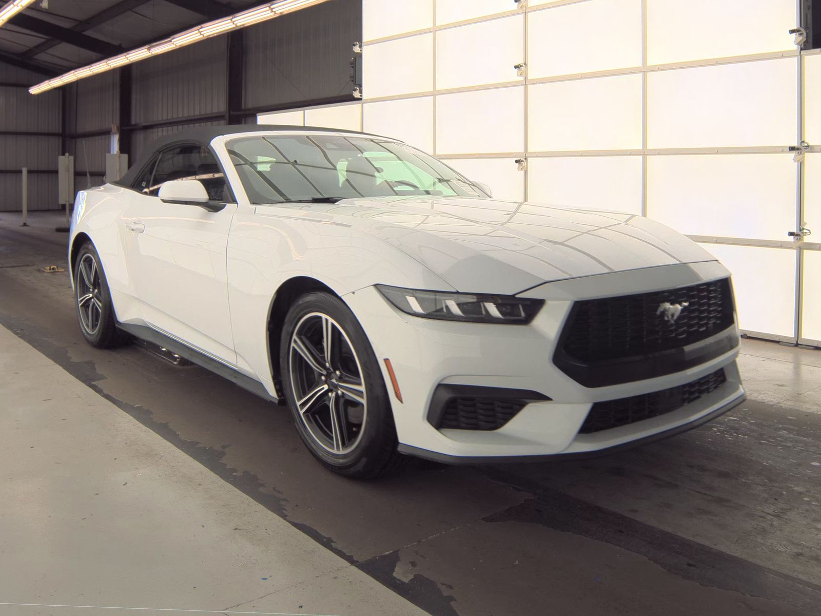 2024 Ford Mustang EcoBoost Premium RWD