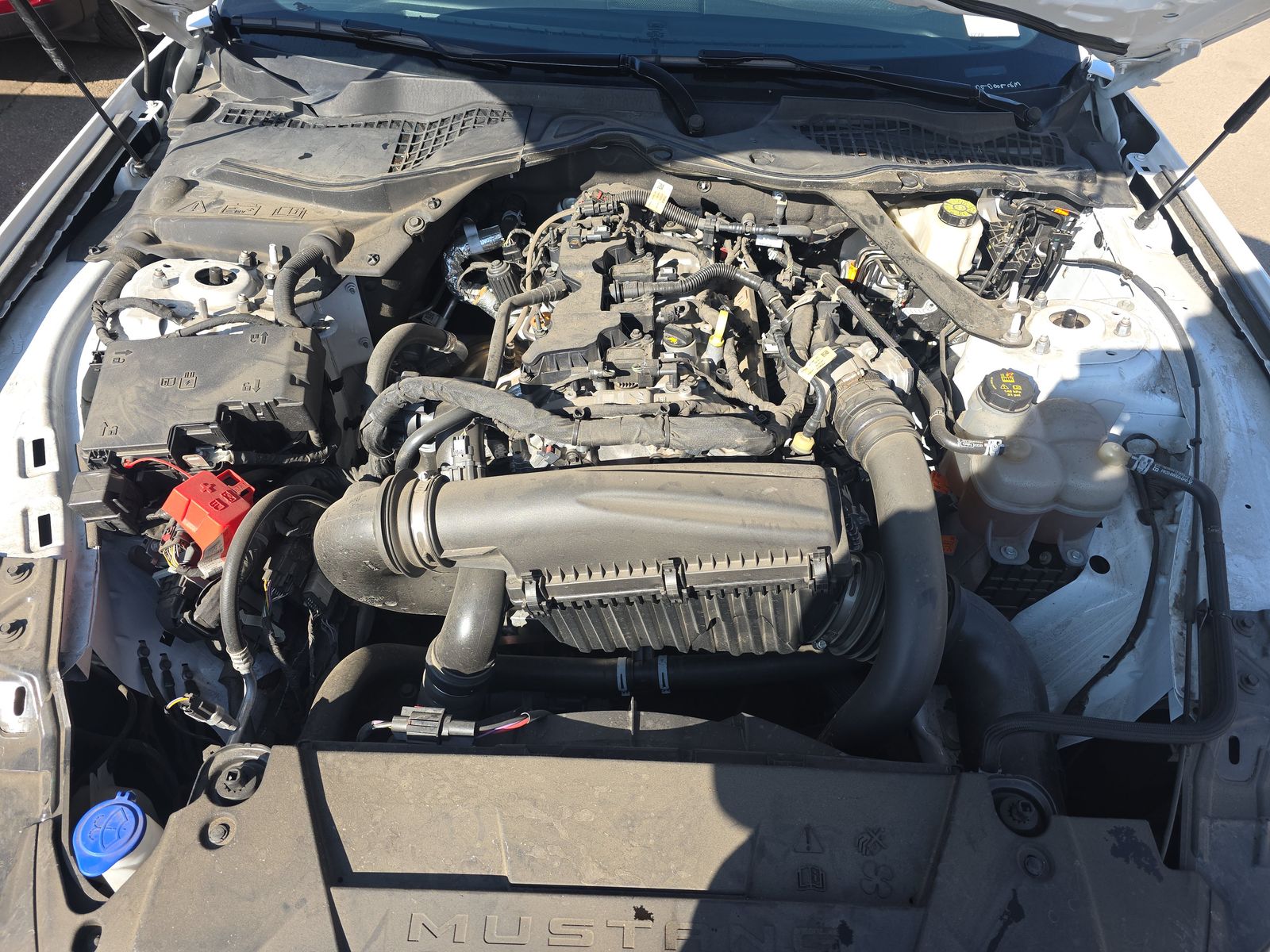 2024 Ford Mustang EcoBoost Premium RWD