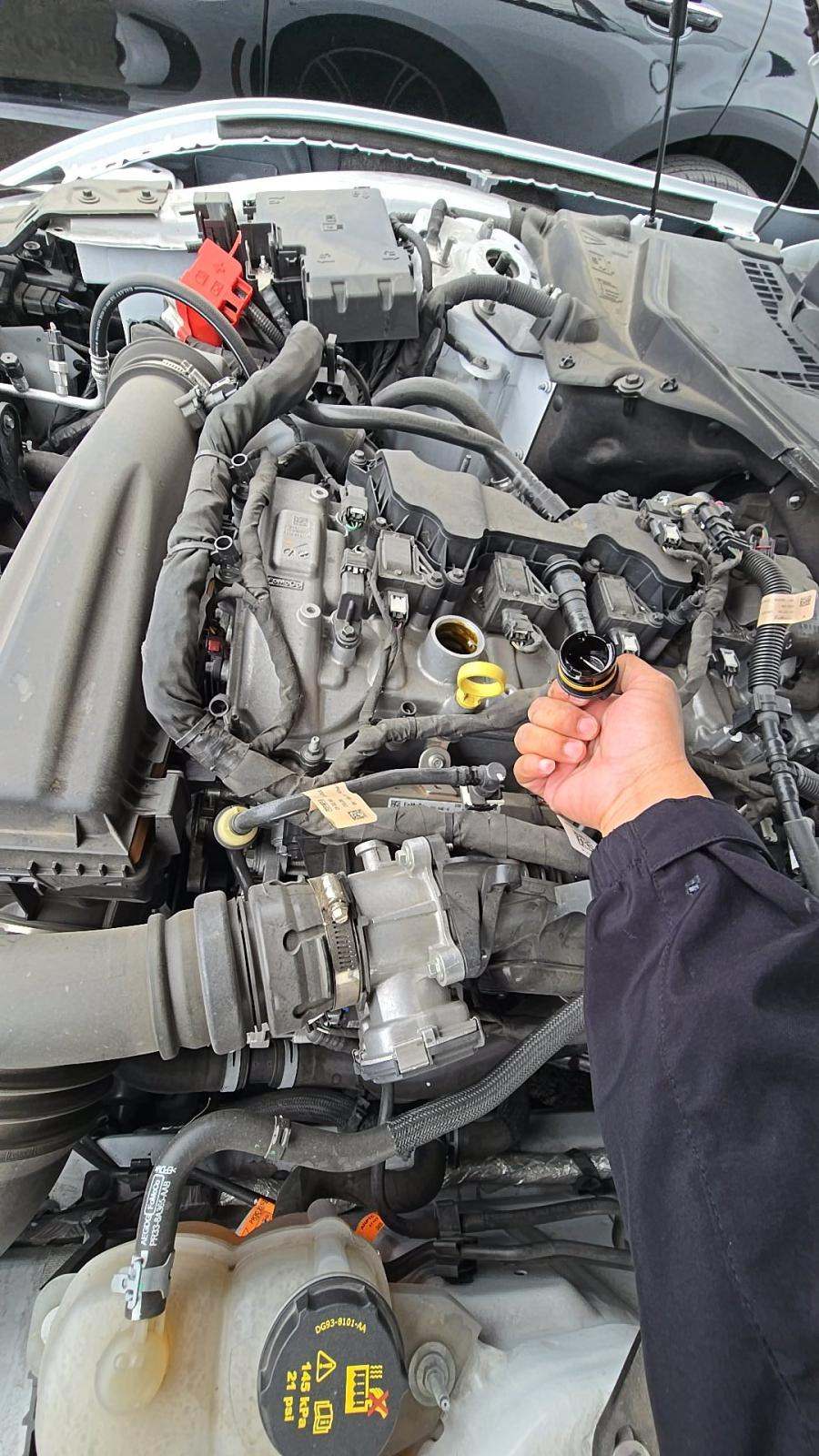 2024 Ford Mustang EcoBoost Premium RWD