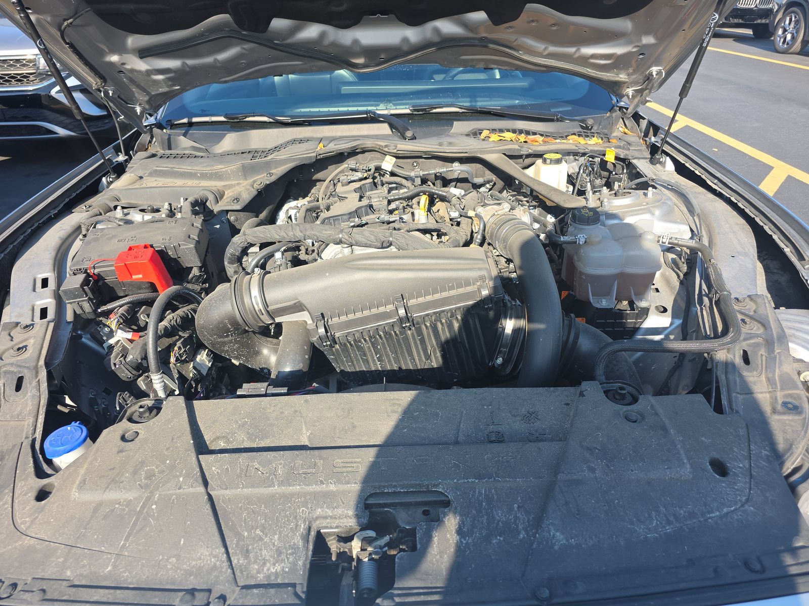 2024 Ford Mustang EcoBoost Premium RWD