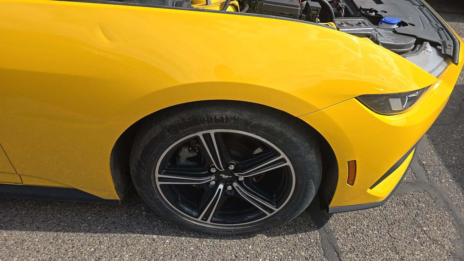 2024 Ford Mustang EcoBoost Premium RWD