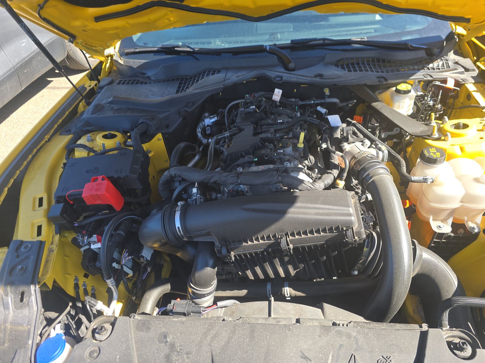 2024 Ford Mustang EcoBoost Premium RWD