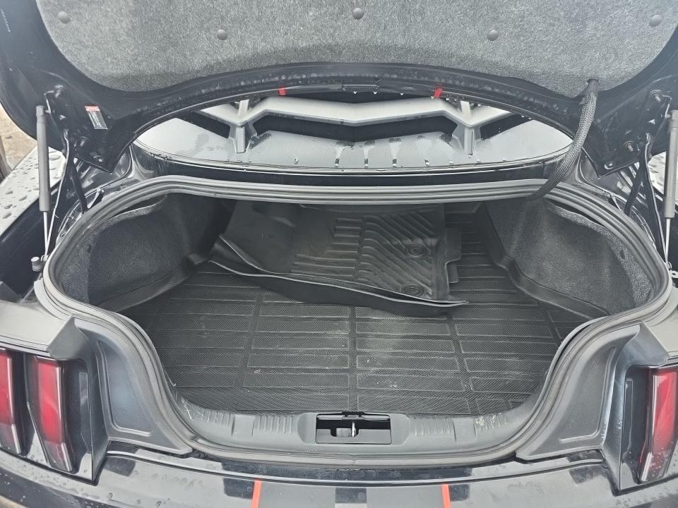 2020 Ford Mustang GT RWD